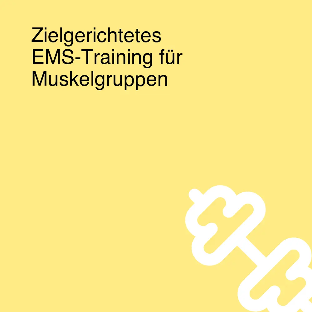 Zielgerichtetes EMS-Training für Muskelgruppen