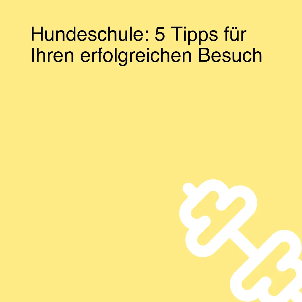 Hundeschule: 5 Tipps für Ihren erfolgreichen Besuch