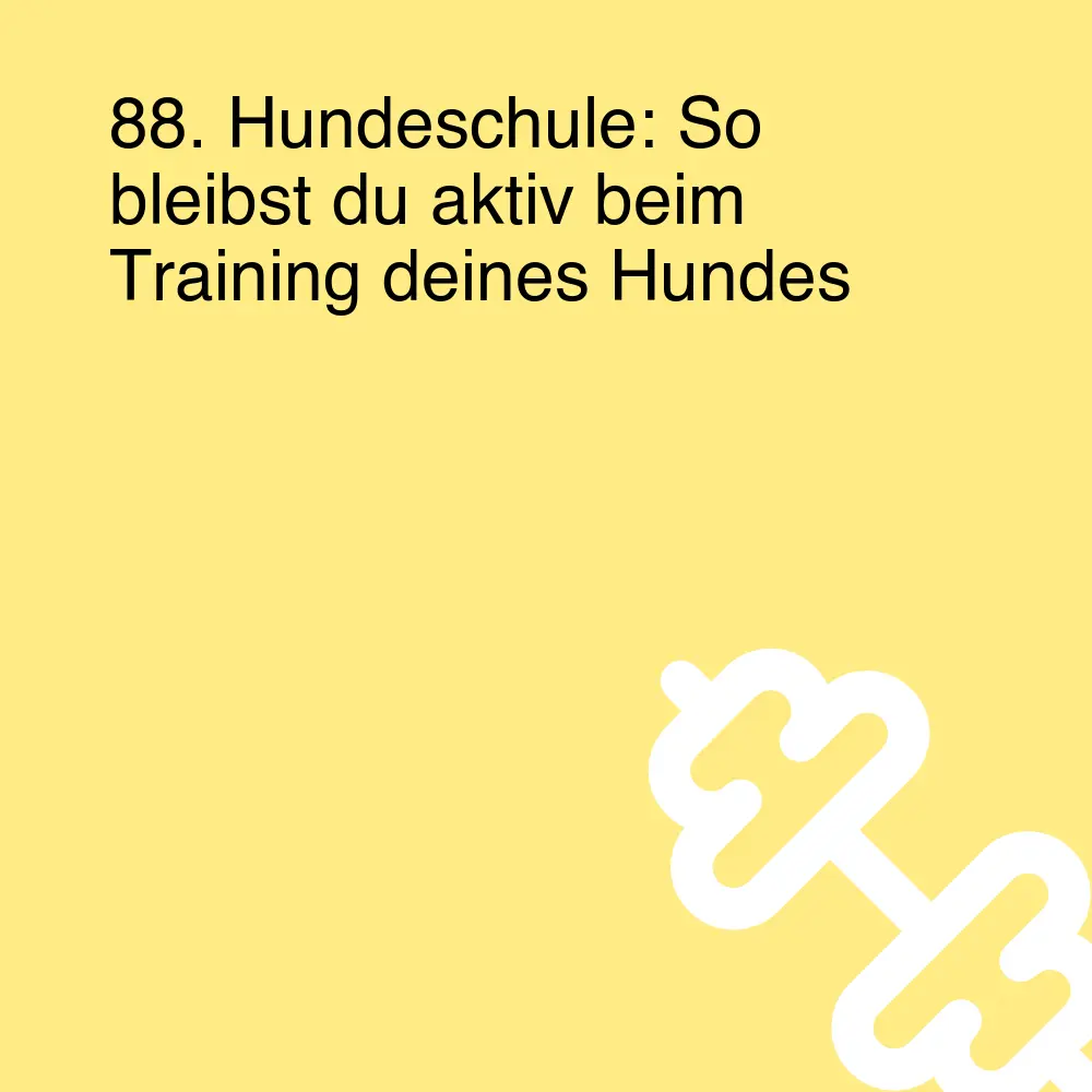 88. Hundeschule: So bleibst du aktiv beim Training deines Hundes 88. Hundeschule: So bleibst du aktiv beim Training deines Hundes