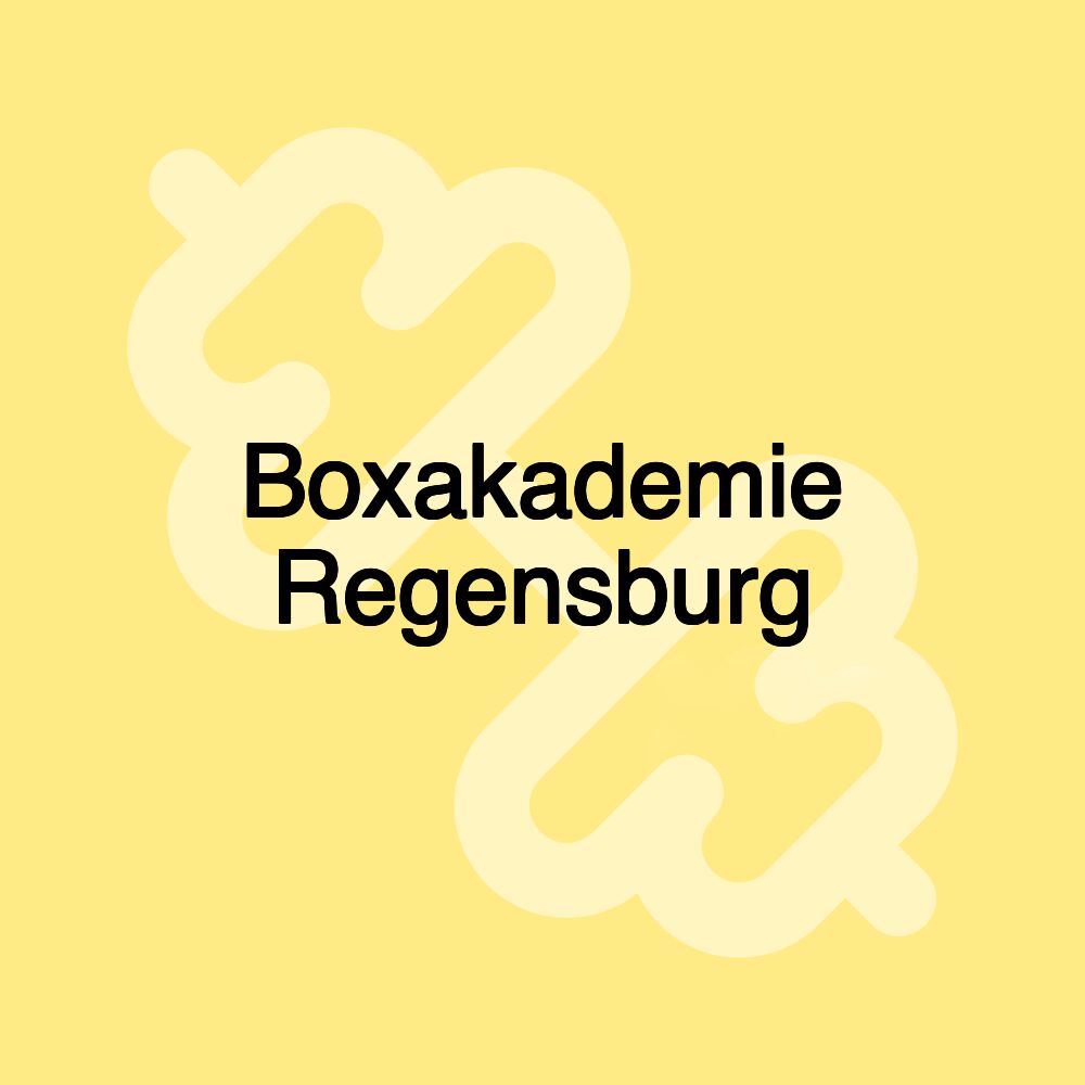 Boxakademie Regensburg