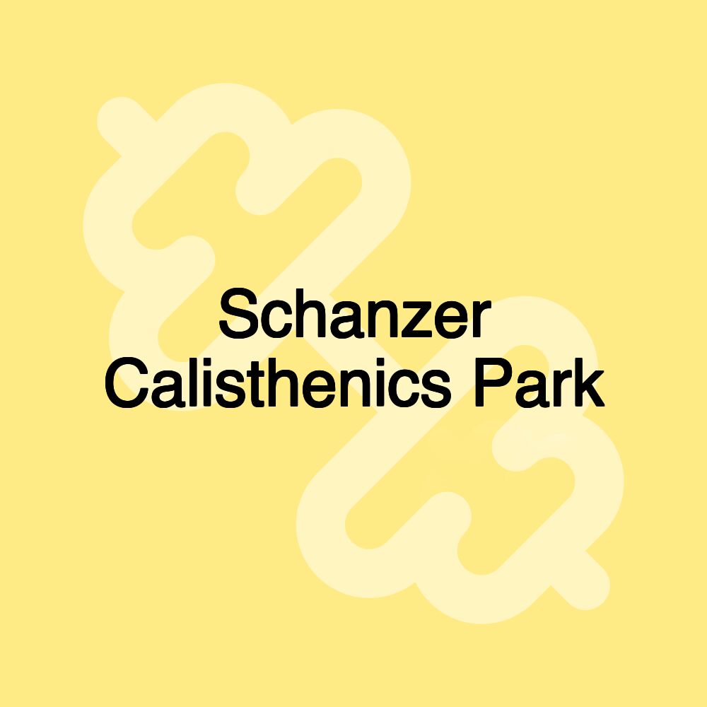 Schanzer Calisthenics Park