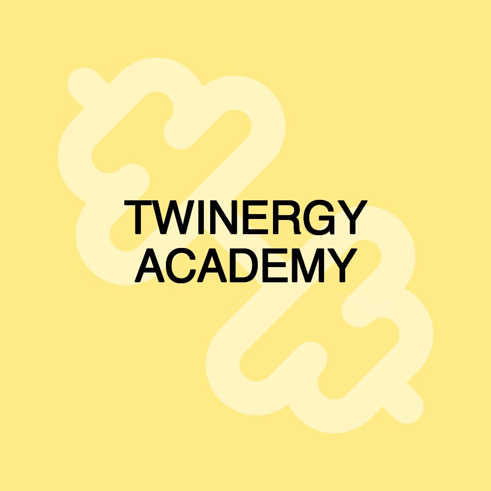 TWINERGY ACADEMY