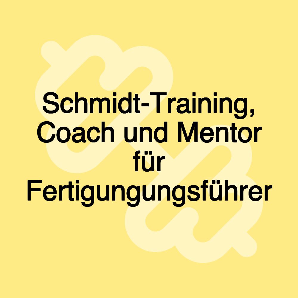 Schmidt-Training, Coach und Mentor für Fertigungungsführer