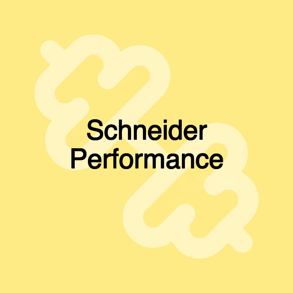 Schneider Performance