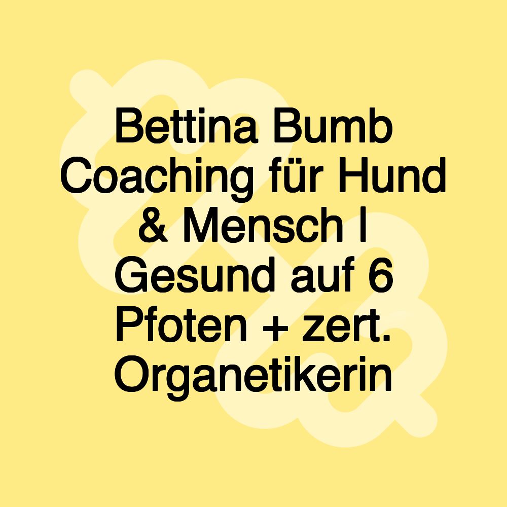 Bettina Bumb Coaching für Hund & Mensch | Gesund auf 6 Pfoten + zert. Organetikerin