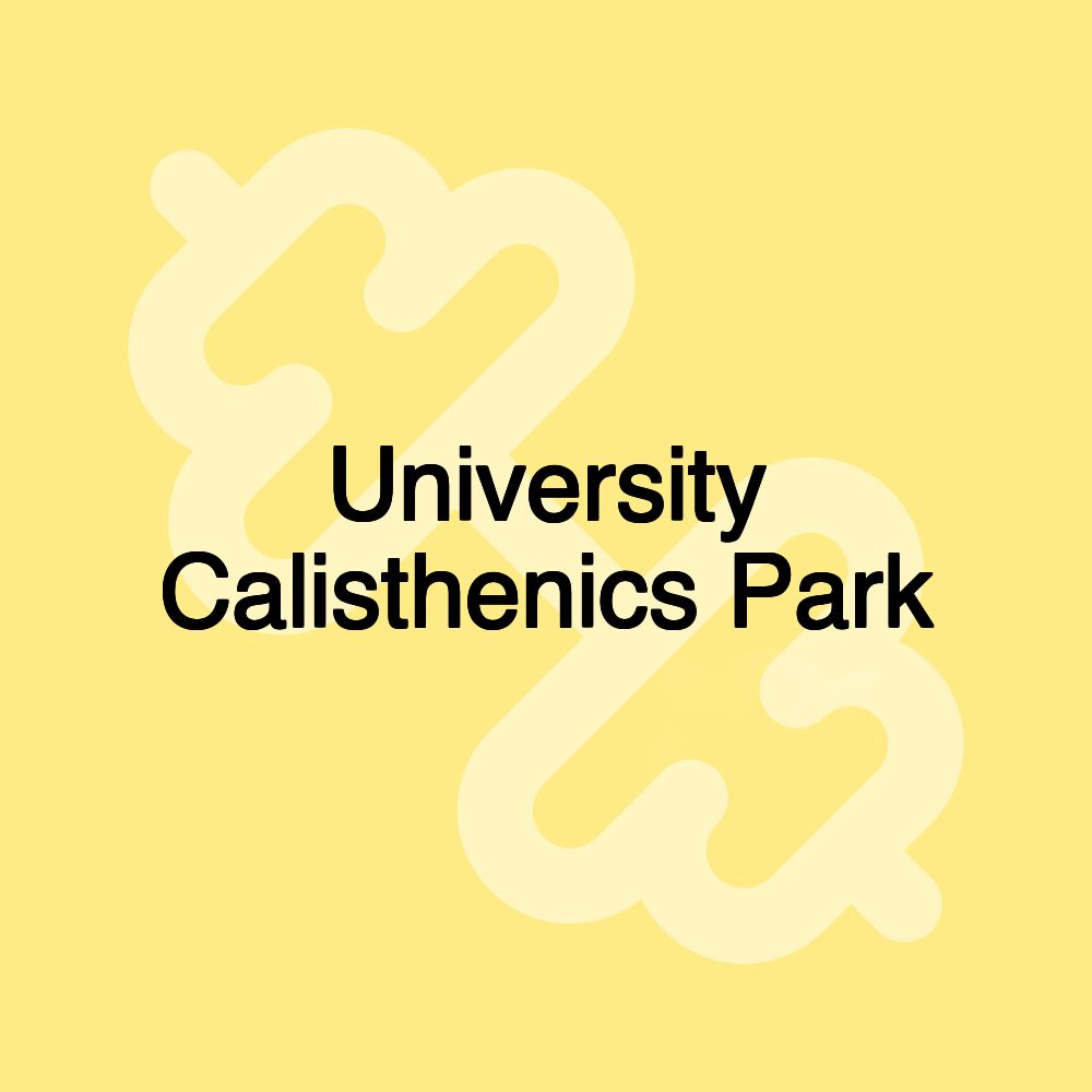 University Calisthenics Park