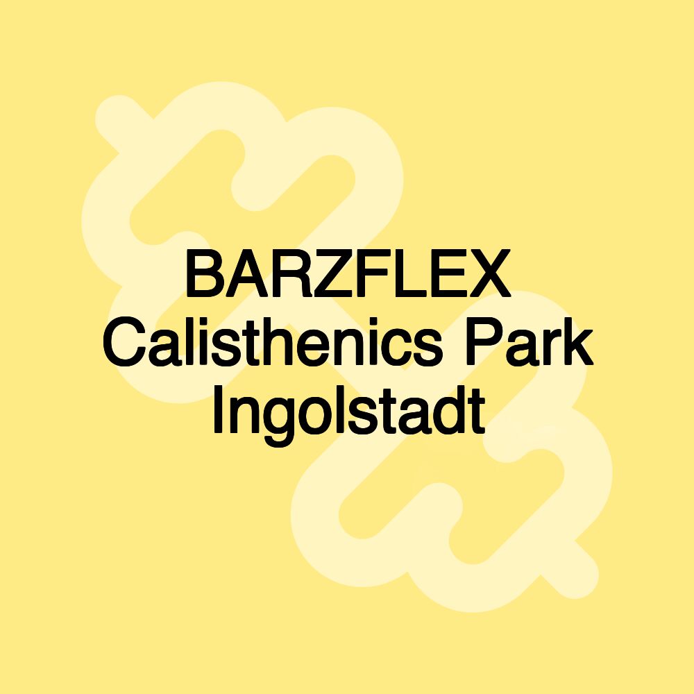 BARZFLEX Calisthenics Park Ingolstadt