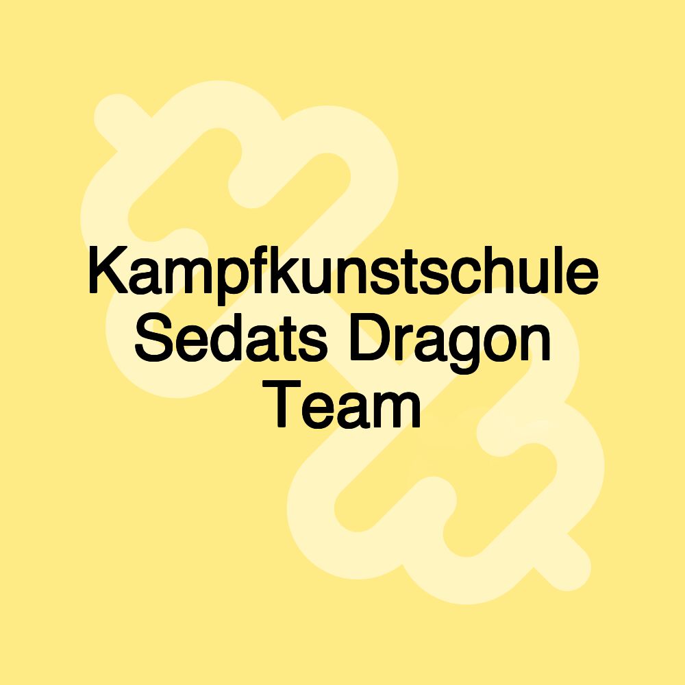 Kampfkunstschule Sedats Dragon Team