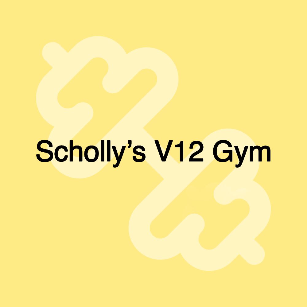 Scholly’s V12 Gym