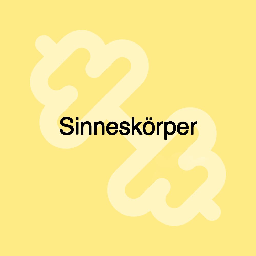 Sinneskörper