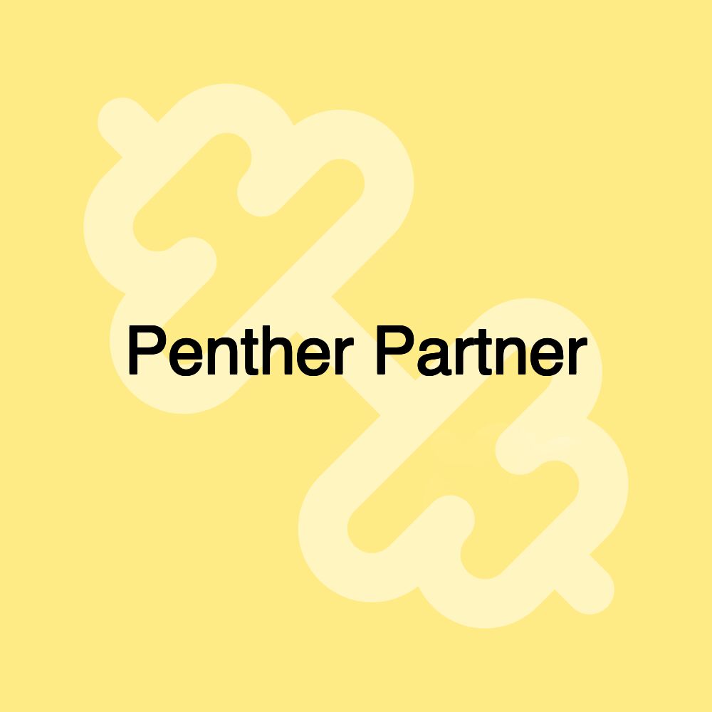 Penther Partner