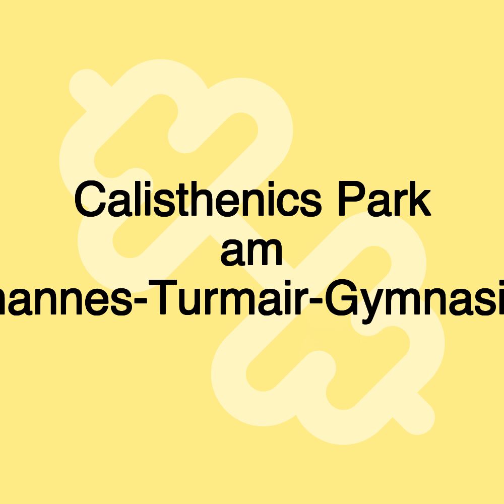 Calisthenics Park am Johannes-Turmair-Gymnasium