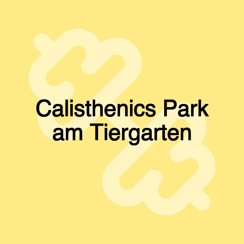 Calisthenics Park am Tiergarten