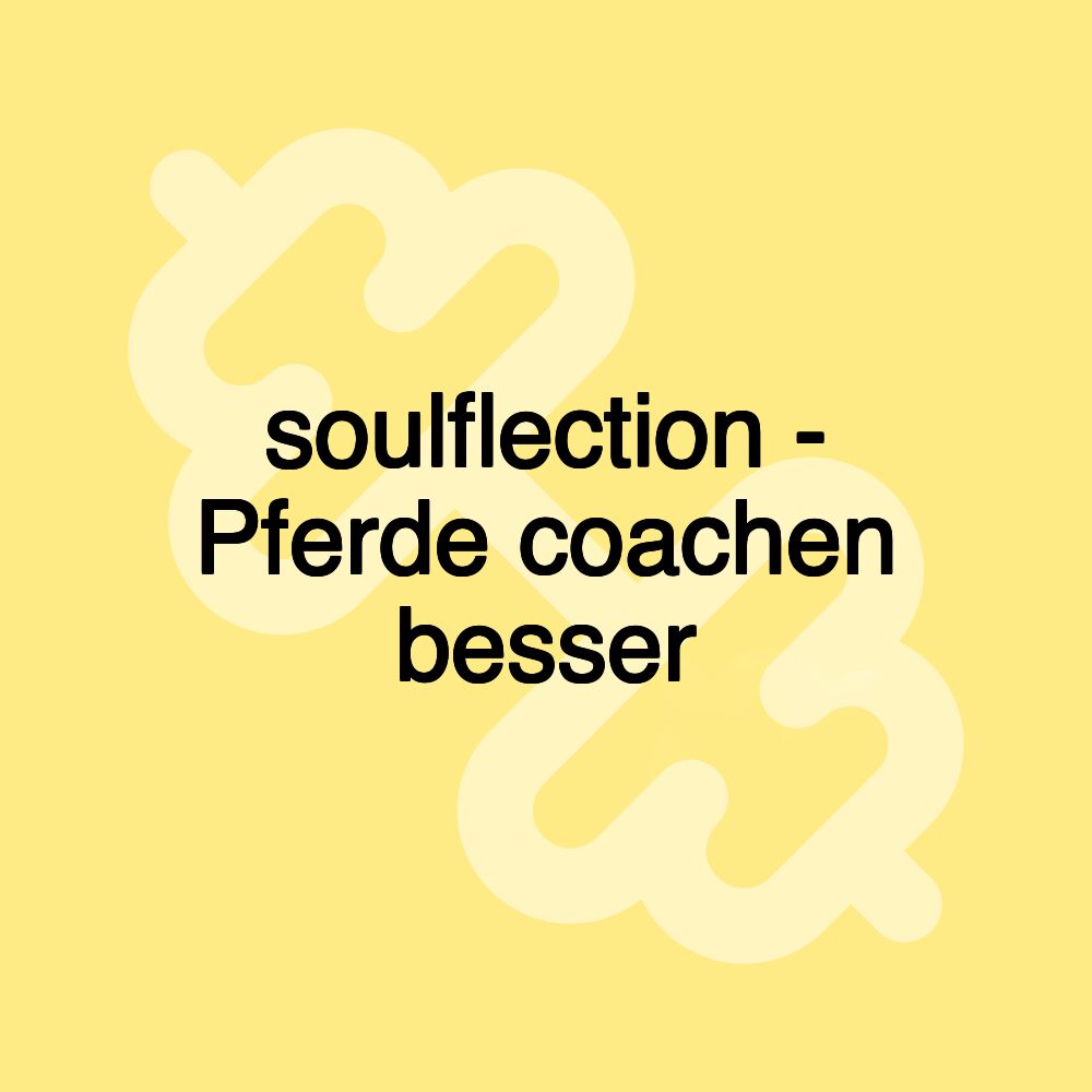 soulflection - Pferde coachen besser