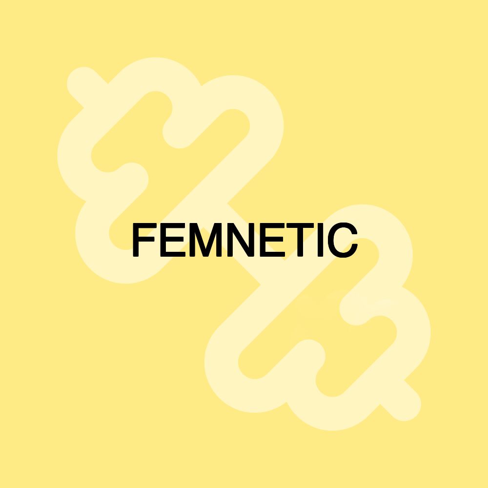 FEMNETIC