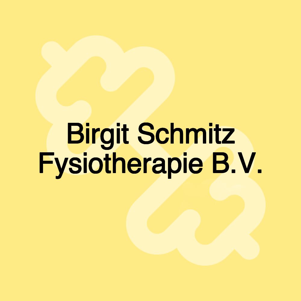 Birgit Schmitz Fysiotherapie B.V.