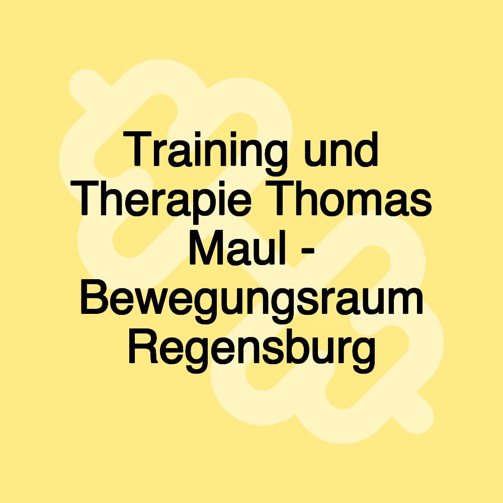 Training und Therapie Thomas Maul - Bewegungsraum Regensburg