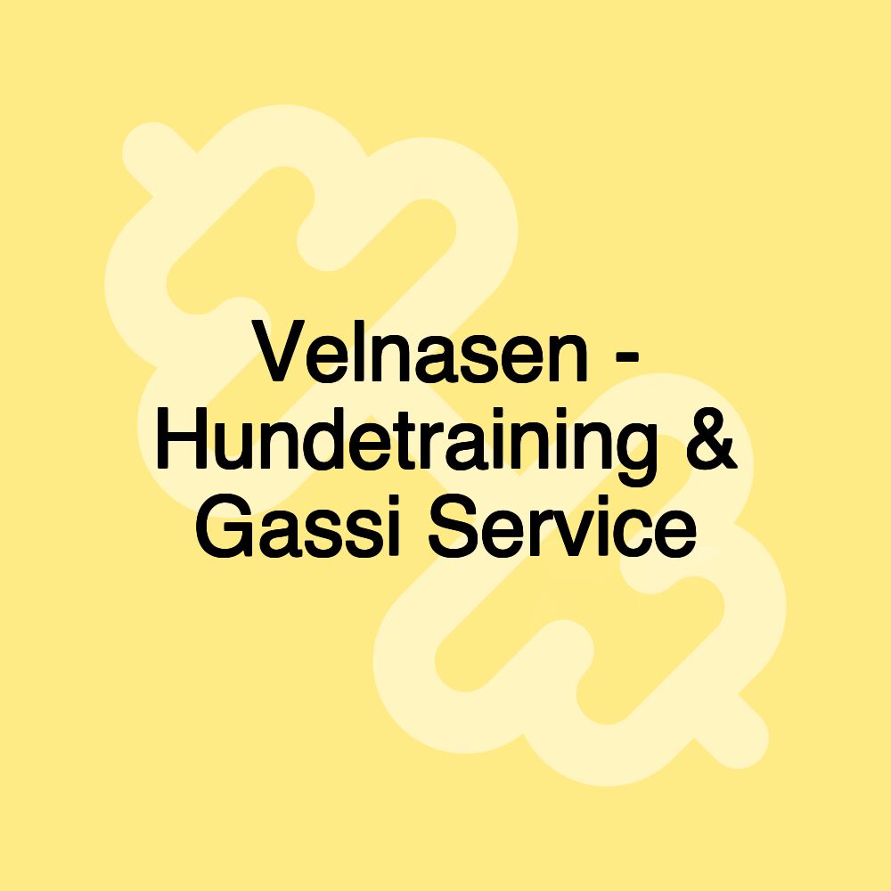 Velnasen - Hundetraining & Gassi Service