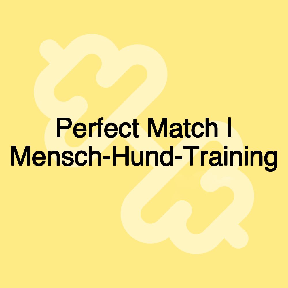 Perfect Match | Mensch-Hund-Training