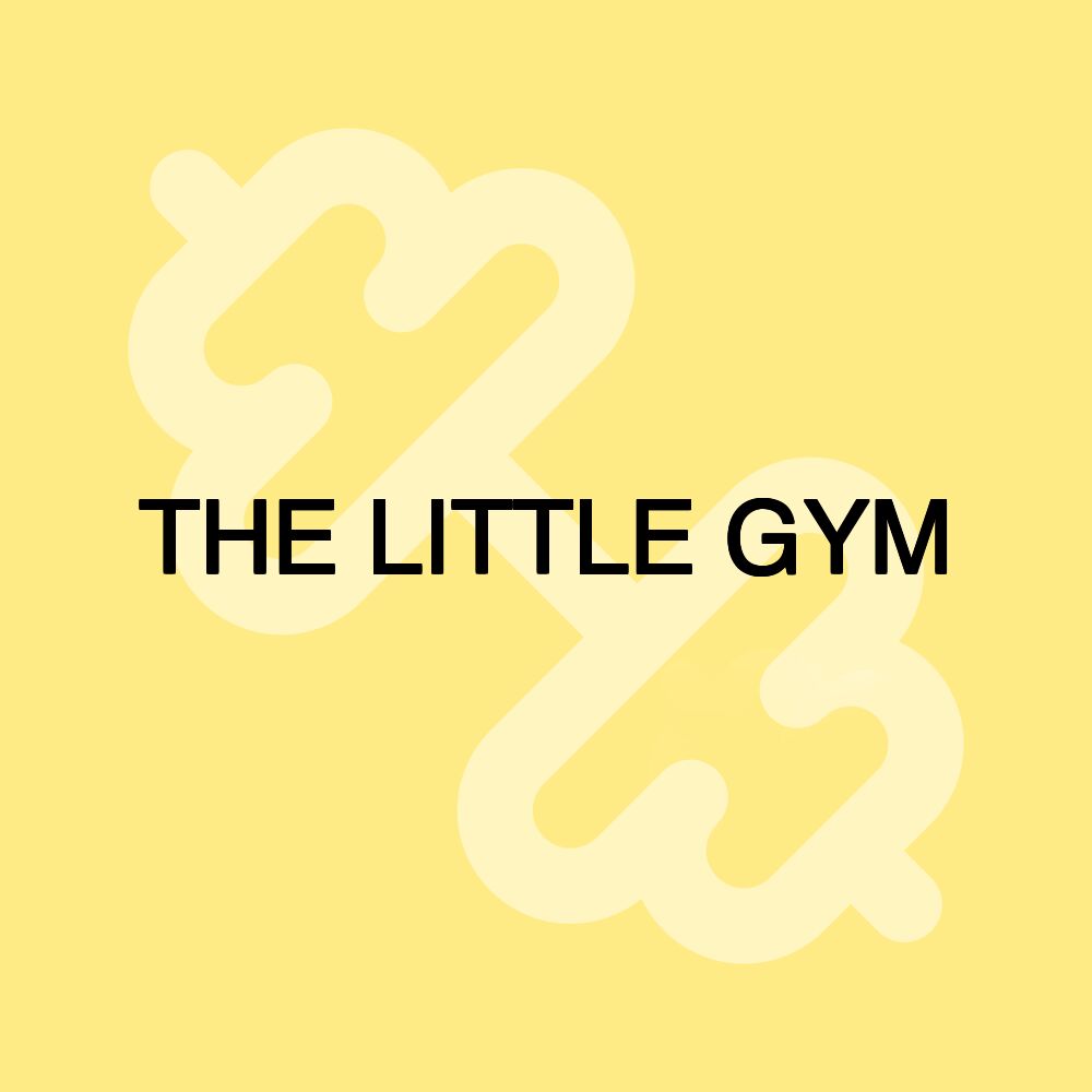 THE LITTLE GYM