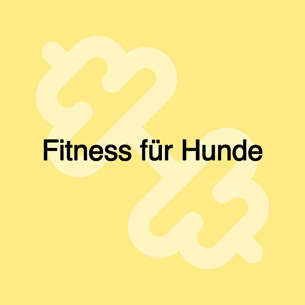 Fitness für Hunde